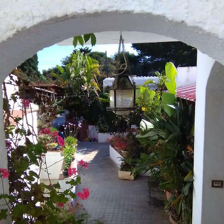 Le Case Di Vito Favignana Extérieur photo