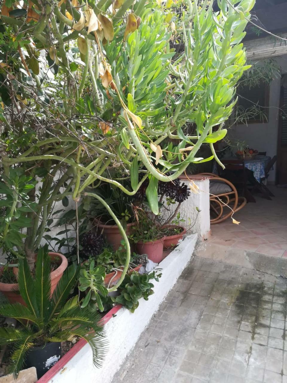 Le Case Di Vito Favignana Extérieur photo